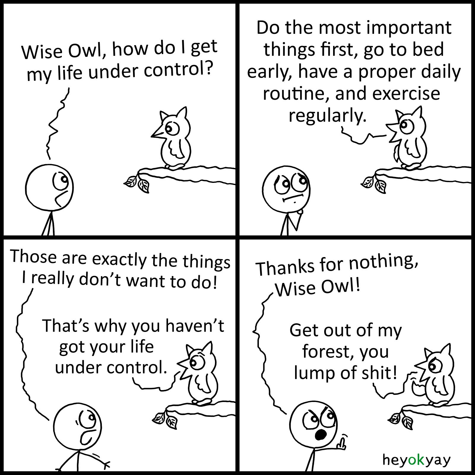 This is a four-panel comic by heyokyay featuring a conversation between a stick figure and an owl perched on a branch.Panel 1: The stick figure asks, "Wise Owl, how do I get my life under control?"   Panel 2: The owl replies, "Do the most important things first, go to bed early, have a proper daily routine, and exercise regularly."   Panel 3: The stick figure complains, "Those are exactly the things I really don't want to do!" The owl simply responds, "That's why you haven't got your life under control."   Panel 4: The stick figure angrily gives the owl the middle finger and yells, "Thanks for nothing, Wise Owl!" The owl flips the stick figure off in return and shouts, "Get out of my forest, you lump of shit!"