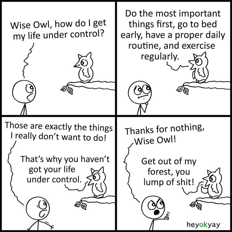 This is a four-panel comic by heyokyay featuring a conversation between a stick figure and an owl perched on a branch.Panel 1: The stick figure asks, "Wise Owl, how do I get my life under control?"   Panel 2: The owl replies, "Do the most important things first, go to bed early, have a proper daily routine, and exercise regularly."   Panel 3: The stick figure complains, "Those are exactly the things I really don't want to do!" The owl simply responds, "That's why you haven't got your life under control."   Panel 4: The stick figure angrily gives the owl the middle finger and yells, "Thanks for nothing, Wise Owl!" The owl flips the stick figure off in return and shouts, "Get out of my forest, you lump of shit!"